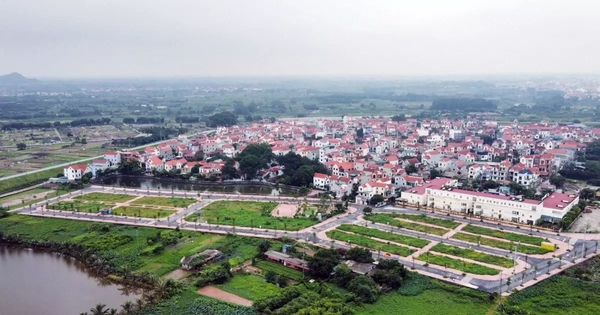 Đất đấu giá vẫn nóng dù tiền đặt cọc tăng lên 50%, giá trúng cao gấp nhiều lần