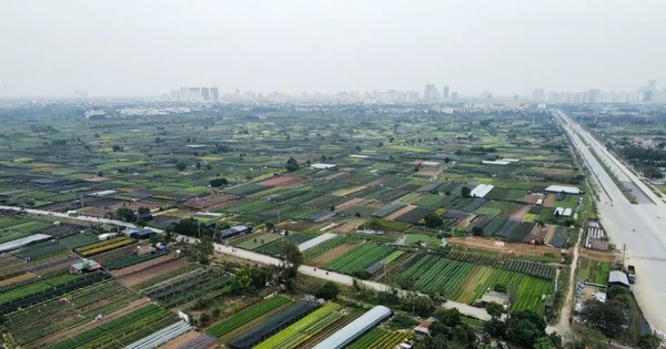 Hà Nội giao đất cho dự án khu công nghệ cao sinh học trị giá hơn 1 tỷ USD