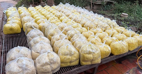 Bắc Ninh: Trộn chất gây ung thư vào gần 2 tấn riềng xay bán ra thị trường