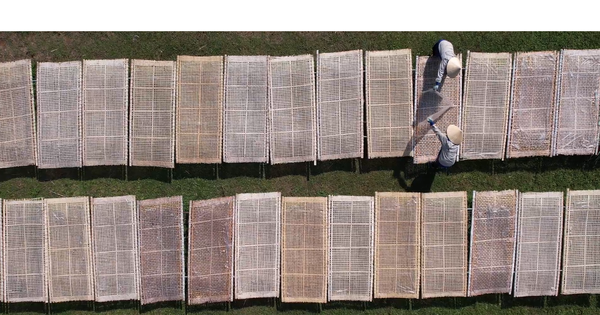 Đặc sản "cháy hàng" dịp Tết: Giúp chàng trai 25 tuổi cán mốc doanh thu 10 tỷ đồng