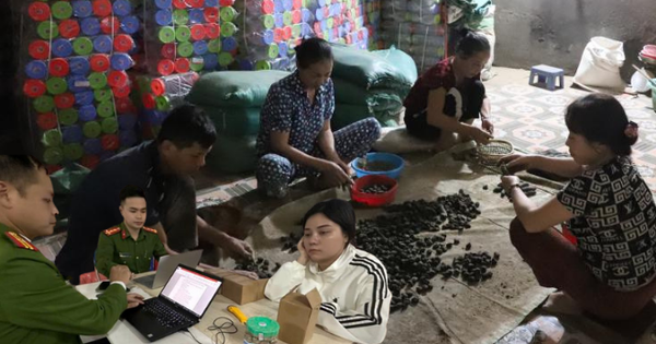 Đồng loạt khám xét 6 địa điểm ở 2 tỉnh trong chuyên án thuốc giả quy mô lớn, bắt Đoàn Thị Lam SN 1972