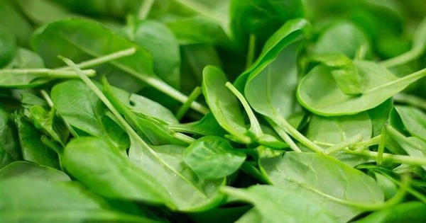 Đi chợ Tết mua rau, thận trọng với 3 loại này, người bán chưa chắc đã dám ăn