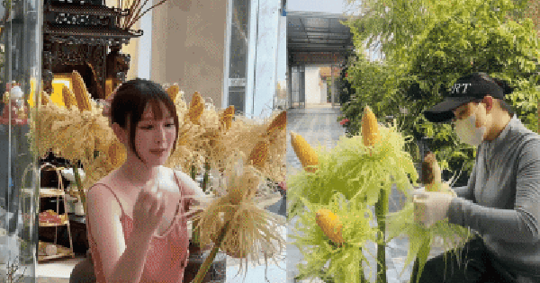 Chẳng cần đào mai tiền triệu, chị em rủ nhau cắm thứ "nhà quê" này: Đẹp sang chảnh, bày ban Thần Tài hút lộc, để 3 năm vẫn như mới!