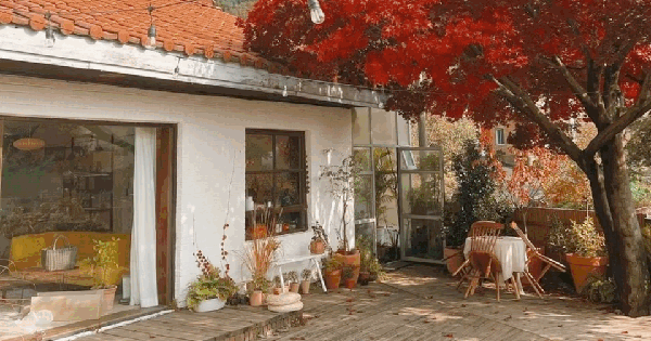 Bỏ phố về quê cải tạo nhà 30 năm tuổi: Mẹ hai con biến căn nhà cũ thành biệt thự nghỉ dưỡng, ai nhìn cũng muốn chuyển đến ở