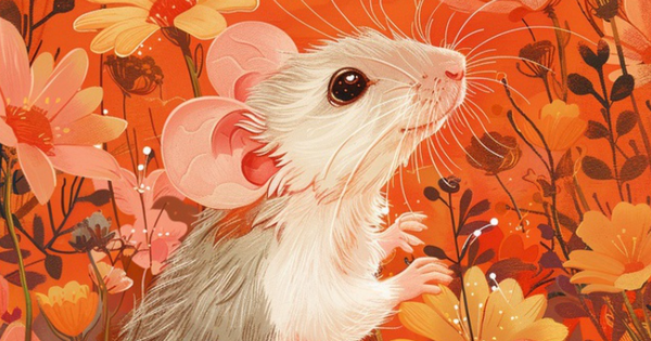 Xem tuổi xông đất Bính Ngọ 2026 cho gia chủ tuổi Tý đón toàn may mắn, dù gặp Thái Tuế vẫn tăng mạnh tài sản