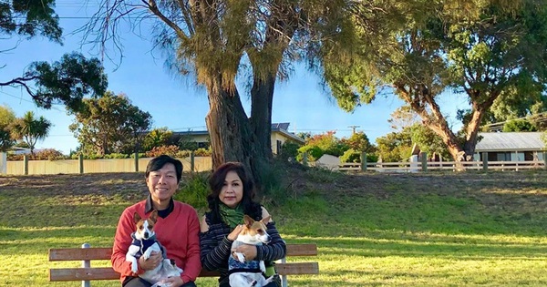 Hôn nhân 40 năm của tài tử màn ảnh Việt: "Càng ngày tôi càng yêu vợ mình hơn, không bao giờ biết chán"