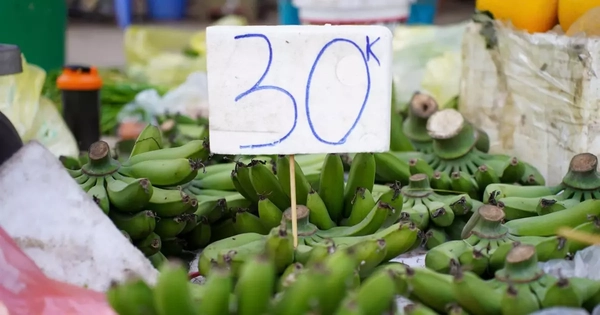 Chuối xanh 28 Tết: Từ nửa triệu ‘rơi’ xuống 30.000 đồng vẫn ế