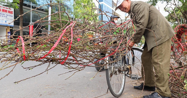 Dự báo thời tiết 29 Tết: Miền Bắc nắng đến 28°C trước khi đón không khí lạnh