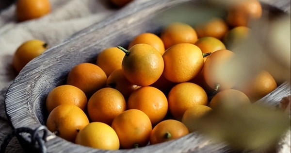 Loại cây "may mắn" ngày Tết của người Việt hóa ra quả cũng là vị thuốc bổ nhuận phổi, tiêu đờm, tốt cho tiêu hóa