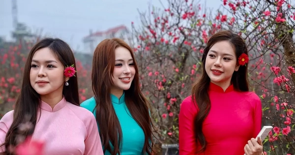 Thiếu nữ xúng xính áo dài, check-in vườn đào Nhật Tân