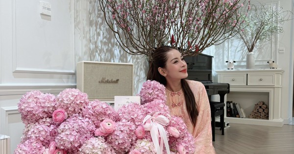 Chi Pu khoe nhà đón Tết nhưng netizen lại nhìn cái khác