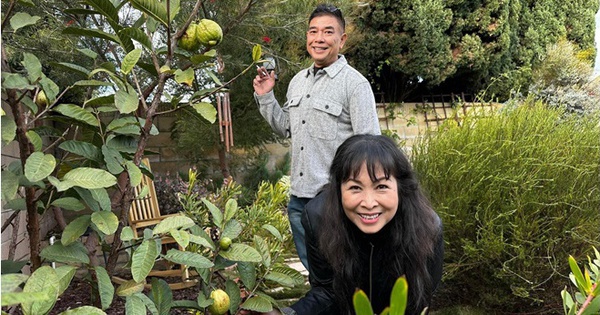 Nữ NSND tuổi ngựa cưới tài tử điện ảnh lừng lẫy, sở hữu biệt thự hoành tráng giữa trung tâm TP. Hồ Chí Minh