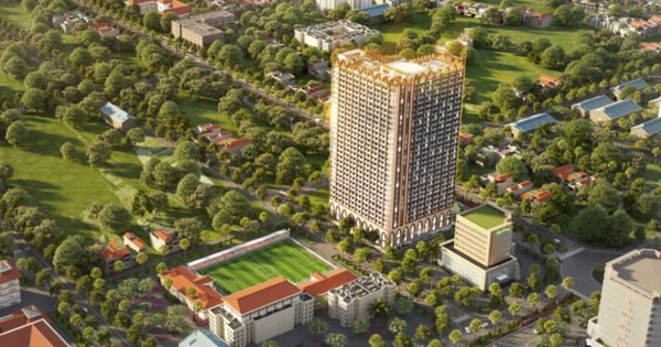 Cổ phiếu API vào diện bị kiểm soát, APEC Group nói gì?