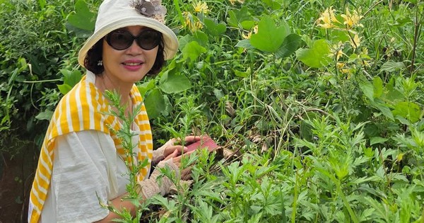 Ở tuổi 50, tôi đã không quá khủng hoảng khi nghĩ đến nghỉ hưu: Tất cả bắt đầu từ 500.000 đồng/tháng cách đây 10 năm