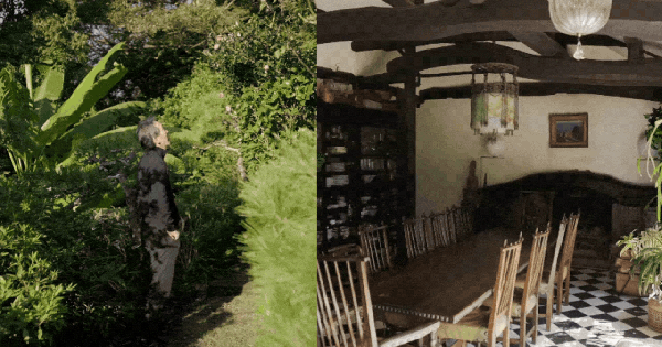 Chuyện tình 25 năm trong căn nhà gỗ ven biển: Hạnh phúc hóa ra không nằm ở thành tựu, mà ở chiếc ghế đặt đúng vạt nắng trưa