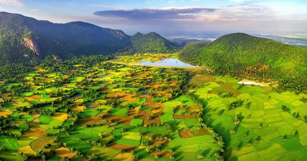 Chỉ vài ngày Tết, 