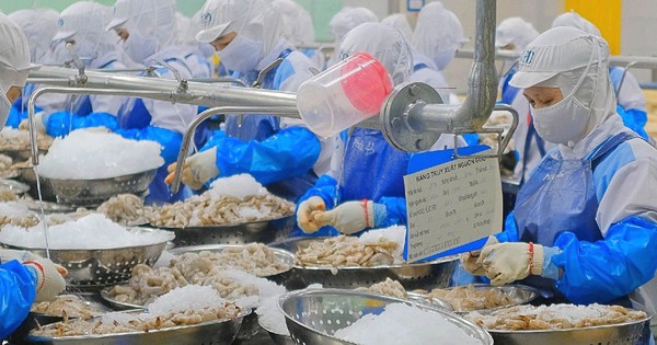 Nhận tin vui từ Mỹ, một cổ phiếu thủy sản 