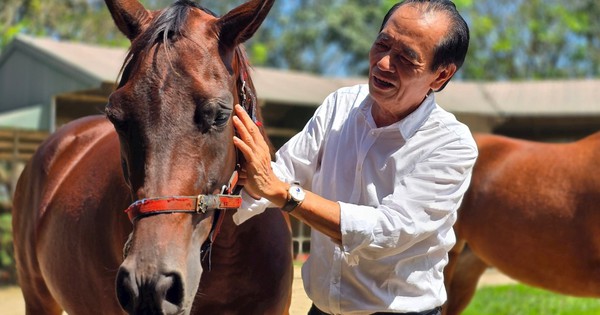 Cụ ông U80 quê Hà Tĩnh: 76 tuổi vẫn làm Chủ tịch 'cầm trịch' dự án trường đua ngựa 1.550 tỷ đồng