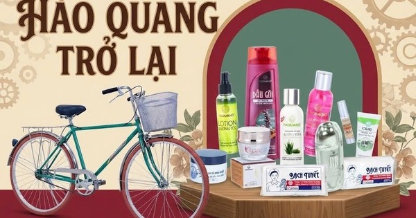 Từng bên bờ vực thẳm, loạt ‘huyền thoại’ hàng Việt xe đạp Thống Nhất, Bông Bạch Tuyết, Thorakao đang hồi sinh ngoạn mục ra sao?