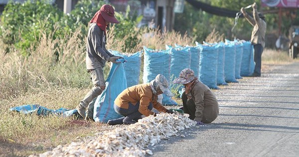 Bị Thái Lan quay lưng với sản phẩm chủ lực, dân Campuchia như ‘ngồi trên đống lửa’, than trời vì bán phá giá cũng ế người mua