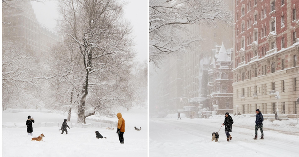 Phía sau khung cảnh New York trắng xóa như cổ tích những ngày này