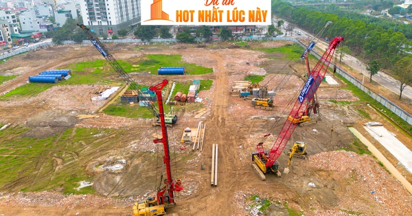 Toàn cảnh 6 toà chung đang rầm rầm xây dựng của MIK tại Nam An Khánh: Giá dự kiến 100 triệu đồng/m2, môi giới cắm chốt xung quanh