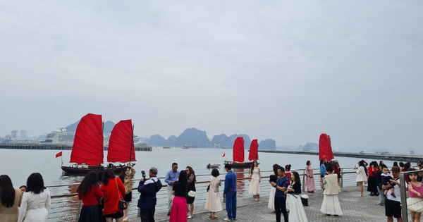 Chính thức: Tạm dừng hoạt động của thuyền buồm đỏ ven bờ vịnh Hạ Long, lý do là gì?