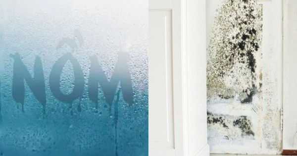 Kinh hoàng: Nấm mốc âm thầm "làm ổ" trong 7 thứ quen thuộc, mùa nồm đến là sinh sôi như vũ bão