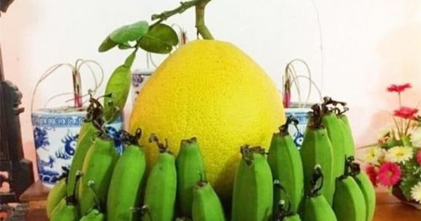 Cảnh báo đặc biệt tới các gia đình đang bày bưởi ngày Tết