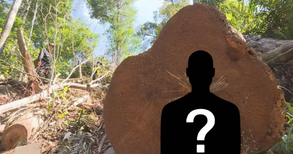 Ra lệnh bắt tạm giam Giám đốc công ty Nguyễn Văn Tiến