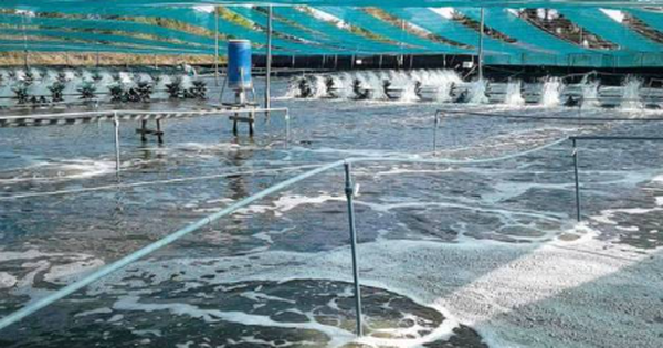 Việt Nam vừa đón tin cực vui từ Mỹ và Trung Quốc