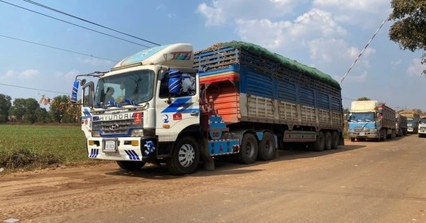 Công điện của Thủ tướng: Ban hành hướng dẫn Nghị định 46 ngay lập tức, báo cáo Chính phủ trước 4/2