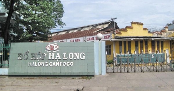 Lợi nhuận của Công ty Đồ hộp Hạ Long âm sau sự cố thịt heo bệnh