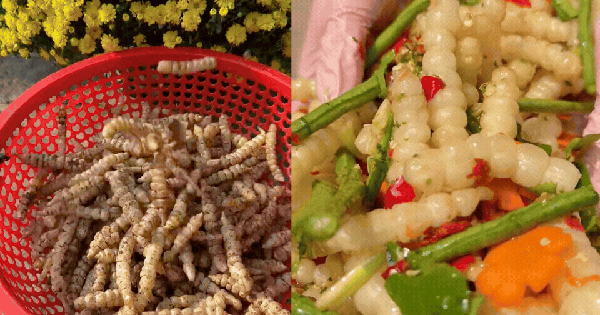 Chi nửa triệu mua rổ "sâu đất" về trộn gỏi: Tưởng màn review kinh dị, ai ngờ thành phẩm khiến 200 nghìn người phải "nuốt nước miếng"