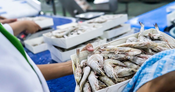 Một ngành hàng của Việt Nam được cả thế giới săn đón - xuất khẩu đạt 874 triệu USD tháng đầu năm, tăng trưởng 13%