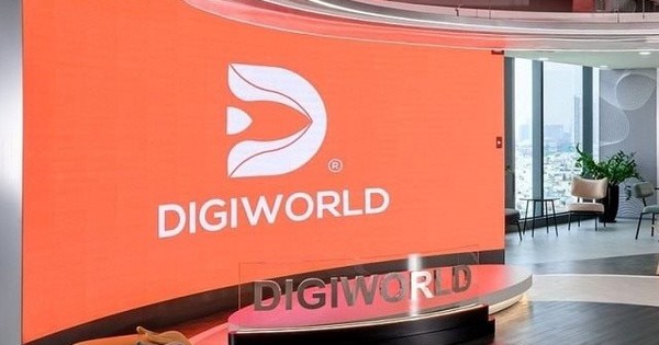 Rót gần 800 tỷ mua HPG, TCB, VPB tạm lỗ 90 tỷ, lãnh đạo Digiworld (DGW) nói gì?