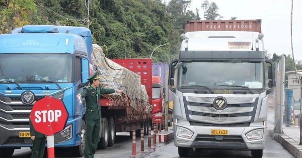 Tạm dừng áp dụng Nghị định số 46 về an toàn thực phẩm đến hết ngày 15/4/2026