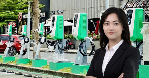 V-GREEN bổ nhiệm Chủ tịch Hội đồng Quản trị mới