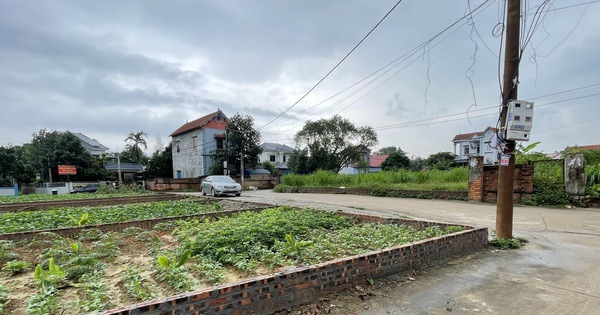 Anh hướng dẫn viên du lịch 27 tuổi 