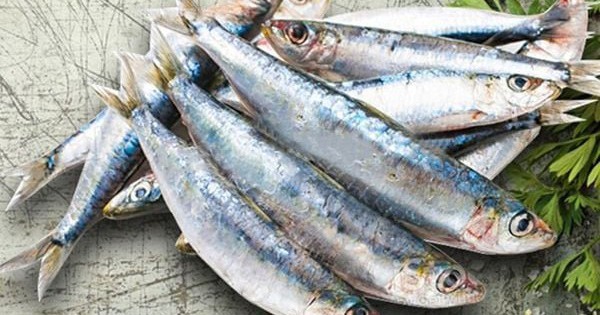 7 loại cá tích tụ thủy ngân nhiều bậc nhất