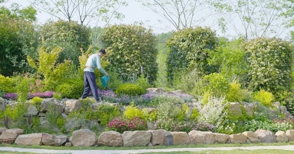 Nghỉ hưu ở tuổi 57, giám đốc mang 5 tỷ đồng về quê dưỡng già, 58 tuổi lại tìm đường ra thành phố: “Tôi không thể chịu nổi”