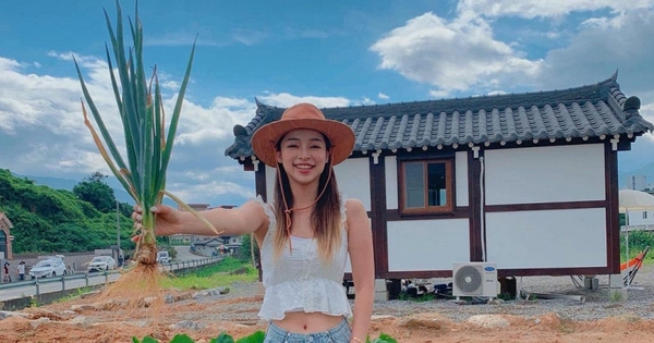 Thứ rau chợ Việt bán vài nghìn cả nắm, nấu món gì cũng thơm nhưng là 