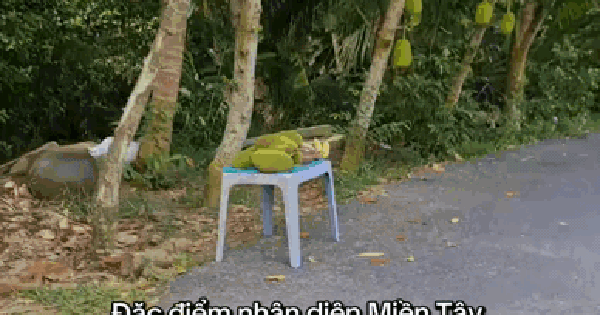 Lật tung mọi nơi chỉ miền Tây có 