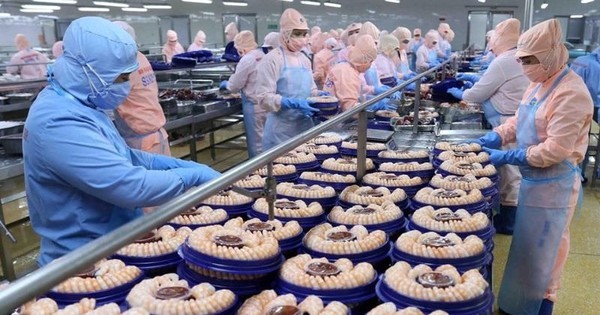 Lãi kỷ lục 2025, một công ty chốt ngày chi trả cổ tức tiền mặt 30%