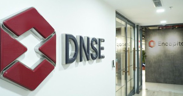 Chứng khoán DNSE đón cổ đông lớn mới