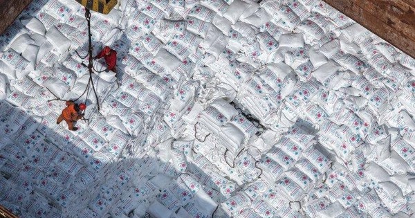 Sau đất hiếm, Trung Quốc siết xuất khẩu mặt hàng nuôi sống thế giới, làm rung chuyển thị trường lương thực toàn cầu