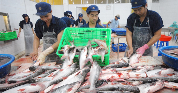 Giá cước tăng cao, lúa gạo, thủy sản, phân bón cùng gặp khó