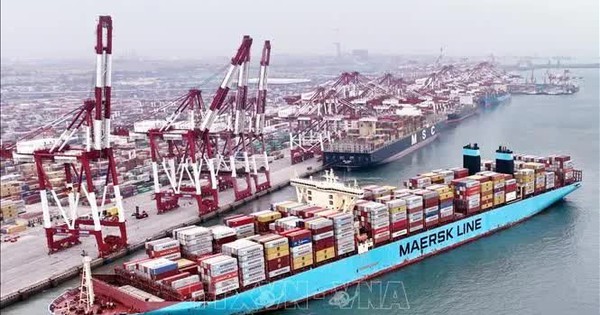 Cước vận chuyển container rục rịch tăng