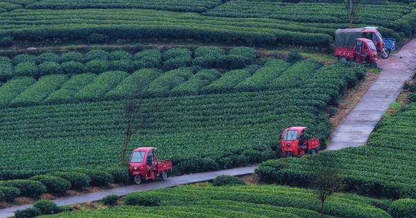 Lạc vào phiên chợ lạ kỳ nhất tháng 4: Hàng ngàn 