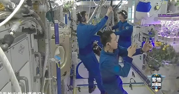 Phi hành đoàn Thần Châu-21 lần đầu thu hoạch “cà chua vũ trụ”